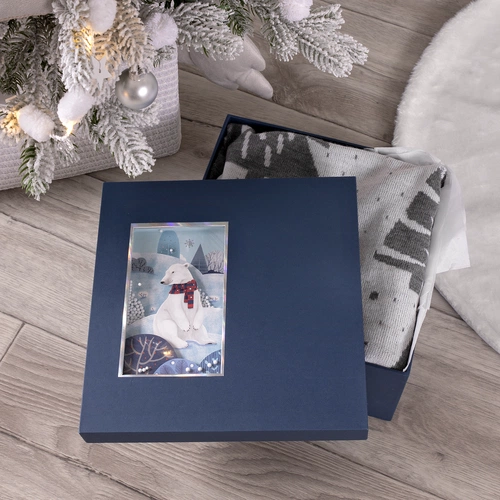 Коробка The Blue Bear, M Коробка The Blue Bear, M