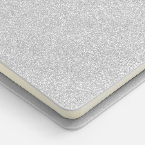 Ежедневник Ringo, недатированный, серебристый Ежедневник Ringo, недатированный, серебристый