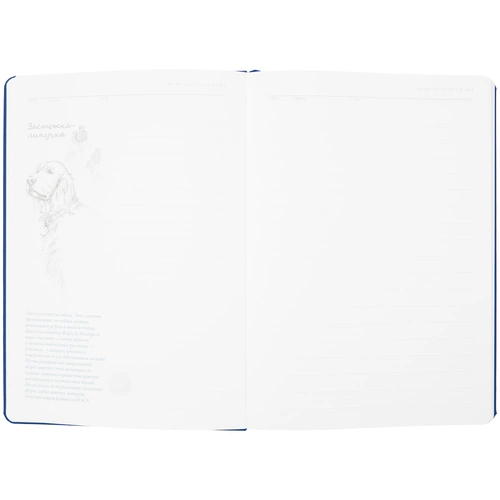 Ежедневник «История изобретений», недатированный, синий Ежедневник «История изобретений», недатированный, синий