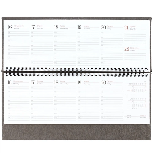 Планинг Sagrin, датированный, серый Планинг Sagrin, датированный, серый