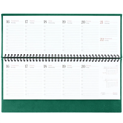 Планинг Sagrin, датированный, зеленый Планинг Sagrin, датированный, зеленый