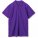 1379.77 - Рубашка поло мужская Summer 170, темно-фиолетовая