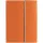 16630.20 - Ежедневник Petrus Flap, недатированный, оранжевый