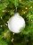 Елочный шар Finery Matt, 8 см, матовый белый