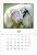 Календарь «Год овцы», односторонний