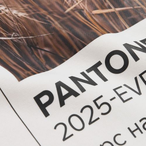 Свитшот унисекс Columbia, белый