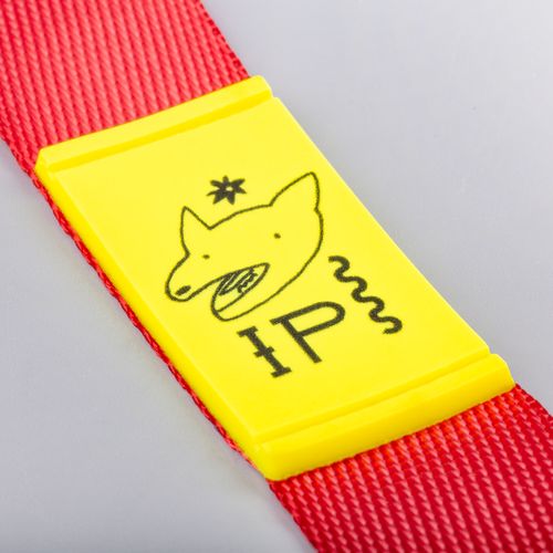 Медаль Perfect Day