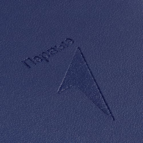 Ежедневник Ringo, недатированный, синий