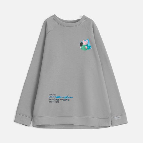 Свитшот унисекс S1, серый