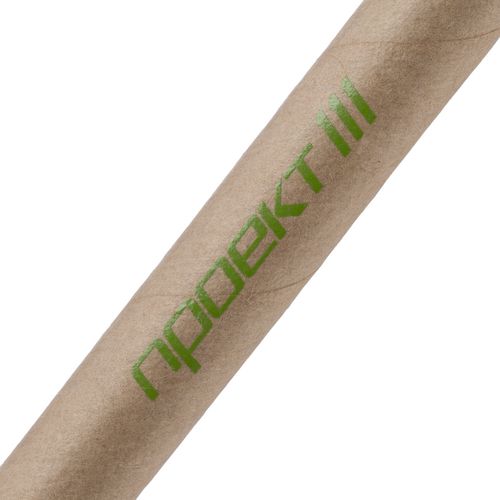 Ручка шариковая Pinokio, неокрашенная