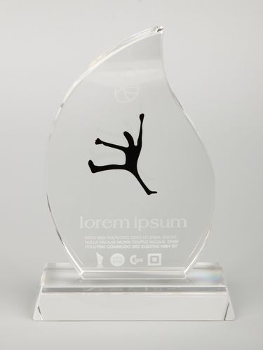 Награда Phoenix