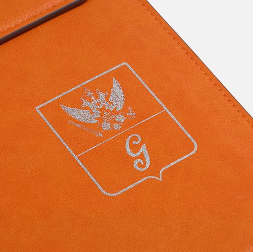 Набор Petrus Travel, оранжевый