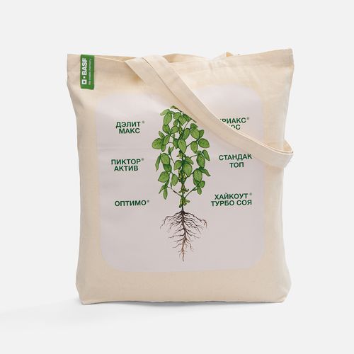 Холщовая сумка Strong 210, неокрашенная