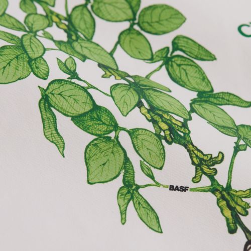 Холщовая сумка Strong 210, неокрашенная