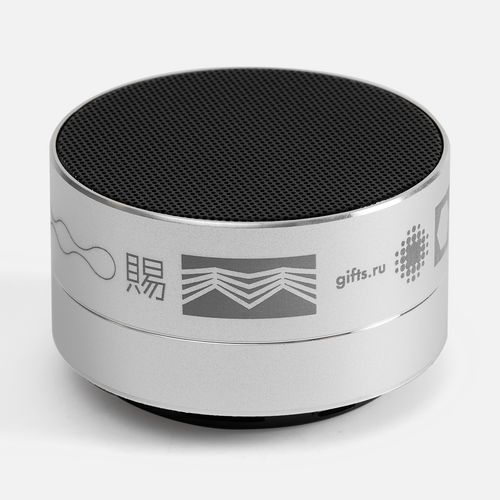 Беспроводная колонка Easy, серебристая