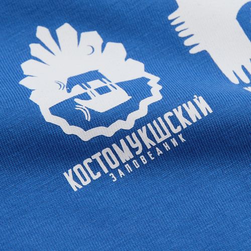 Футболка унисекс Legend, ярко-синяя (royal)