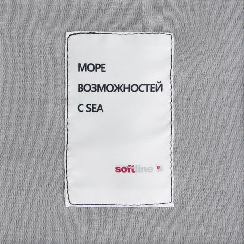 Футболка унисекс оверсайз Street Vibes, серая