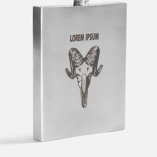 Фляжка Daily Tot