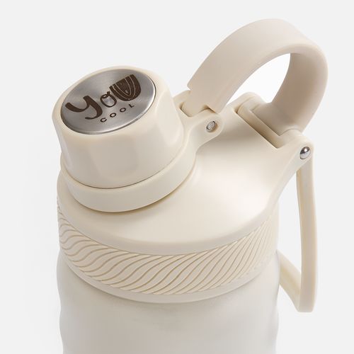 Термобутылка Fujisan 2.0, серая