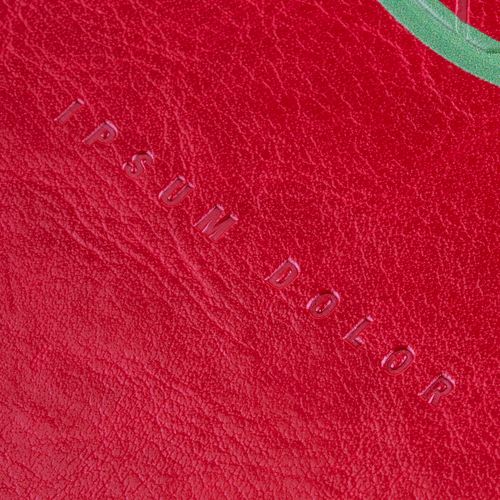 Ежедневник Nebraska Flex, недатированный, красный с золотистым