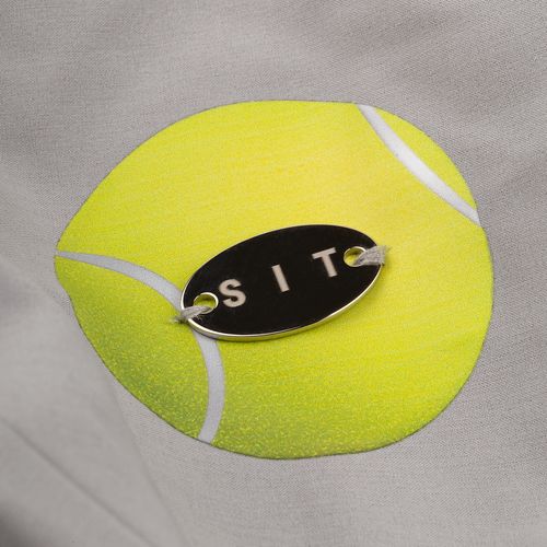 Шильдик металлический Alfa Oval, серебристый