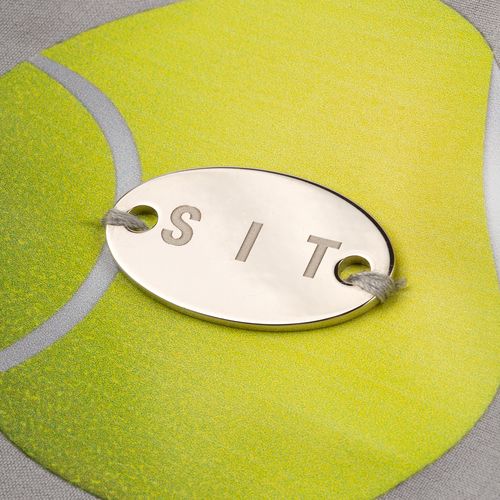 Шильдик металлический Alfa Oval, серебристый