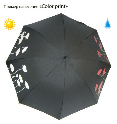 Зонты с печатью Color Print