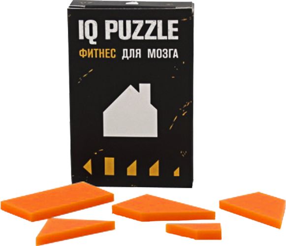Головоломка IQ Puzzle, домик (артикул 12108.02) оптом — Проект 111