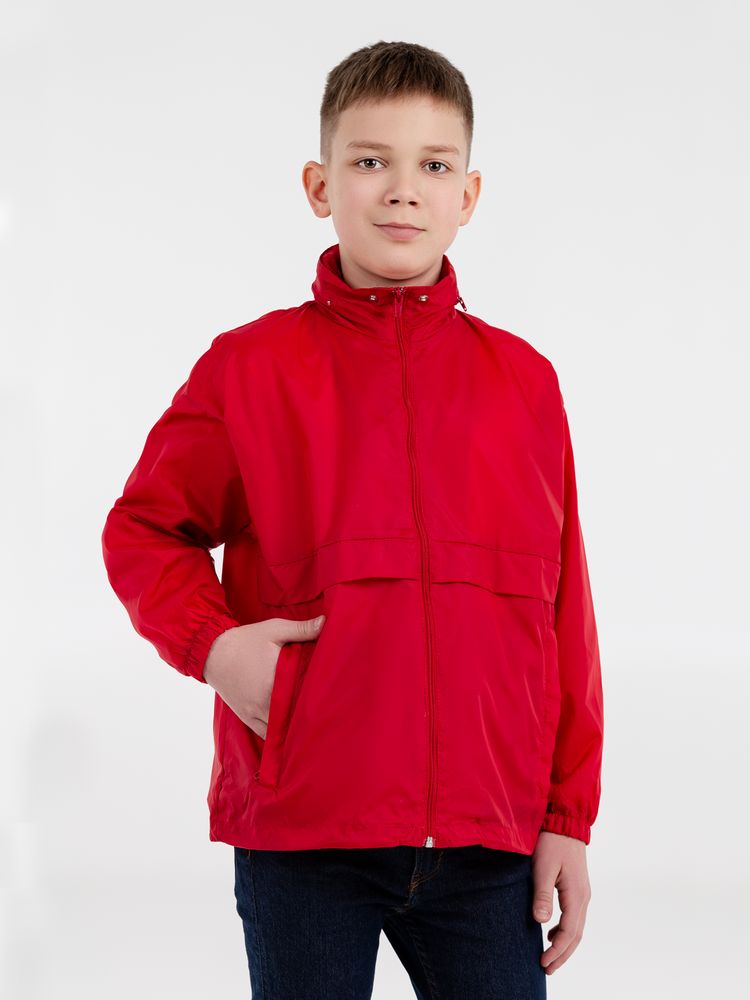 Миниатюра WWW (1000)
