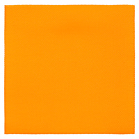 Лейбл тканевый Epsilon, L, оранжевый неон