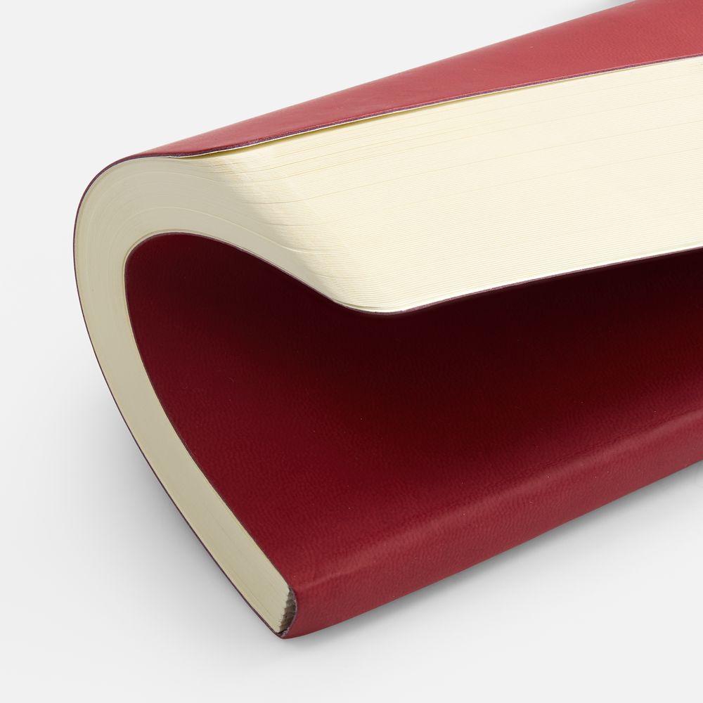 Миниатюра WWW (1000)