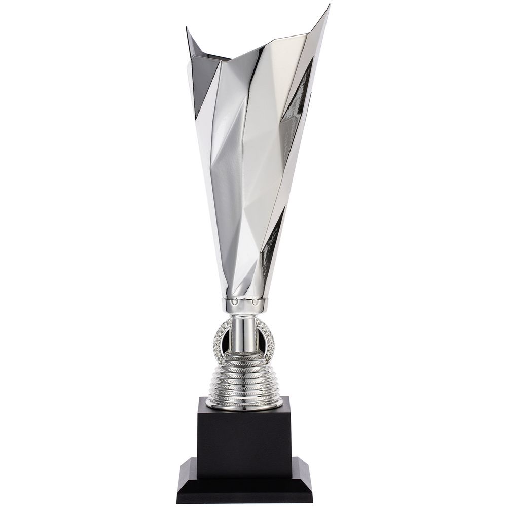 Миниатюра WWW (1000)