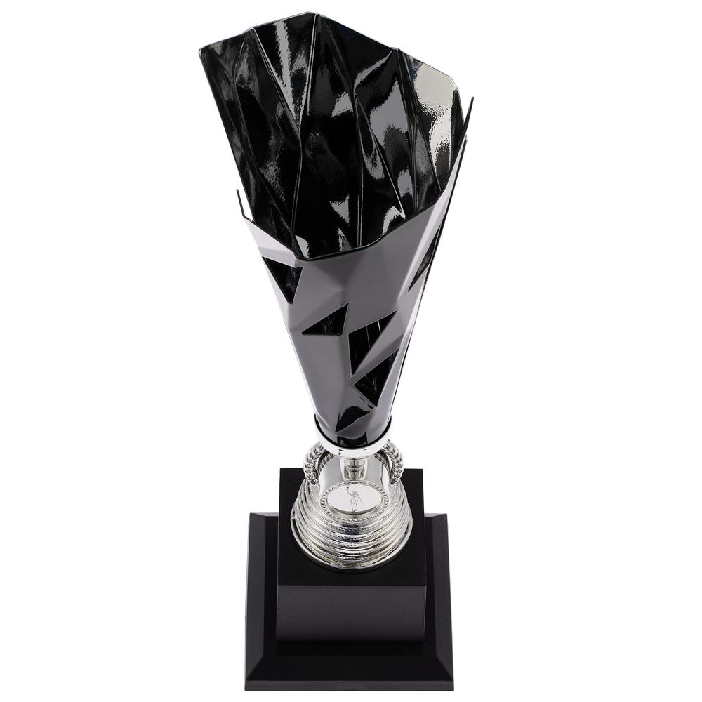 Миниатюра WWW (1000)