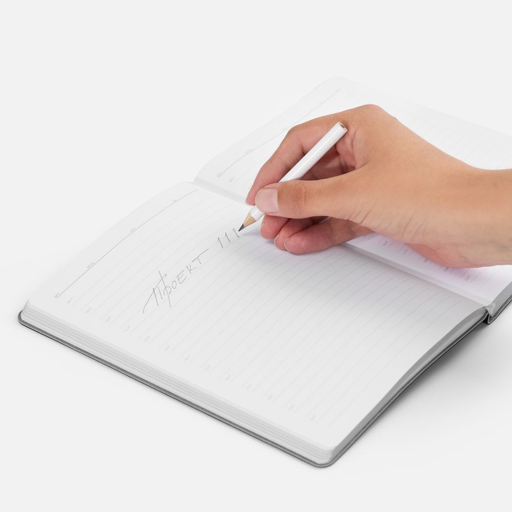 Миниатюра WWW (1000)