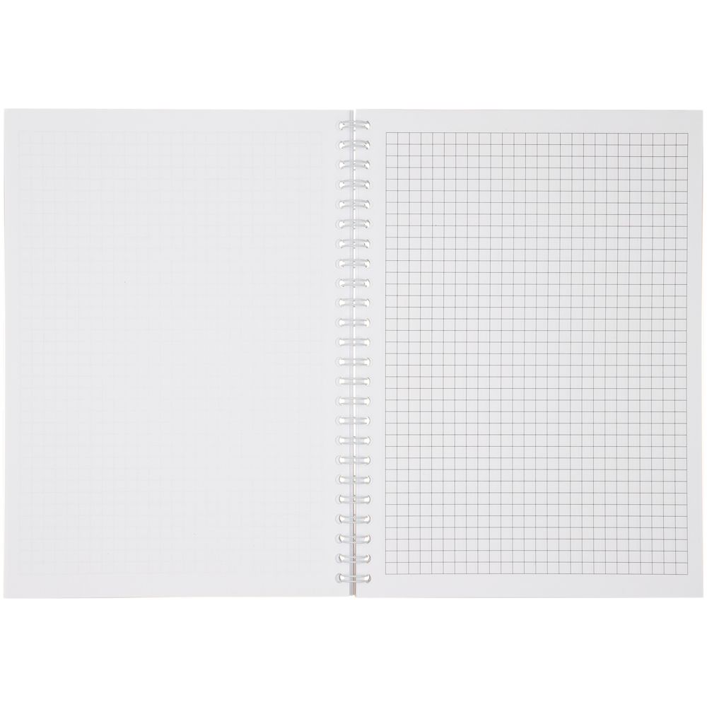 Миниатюра WWW (1000)