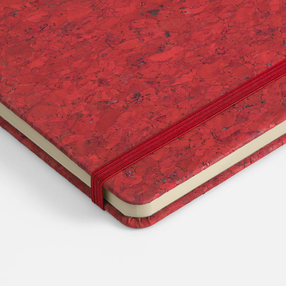 Миниатюра WWW (1000)