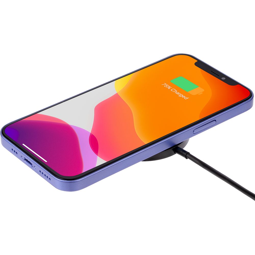 Миниатюра WWW (1000)