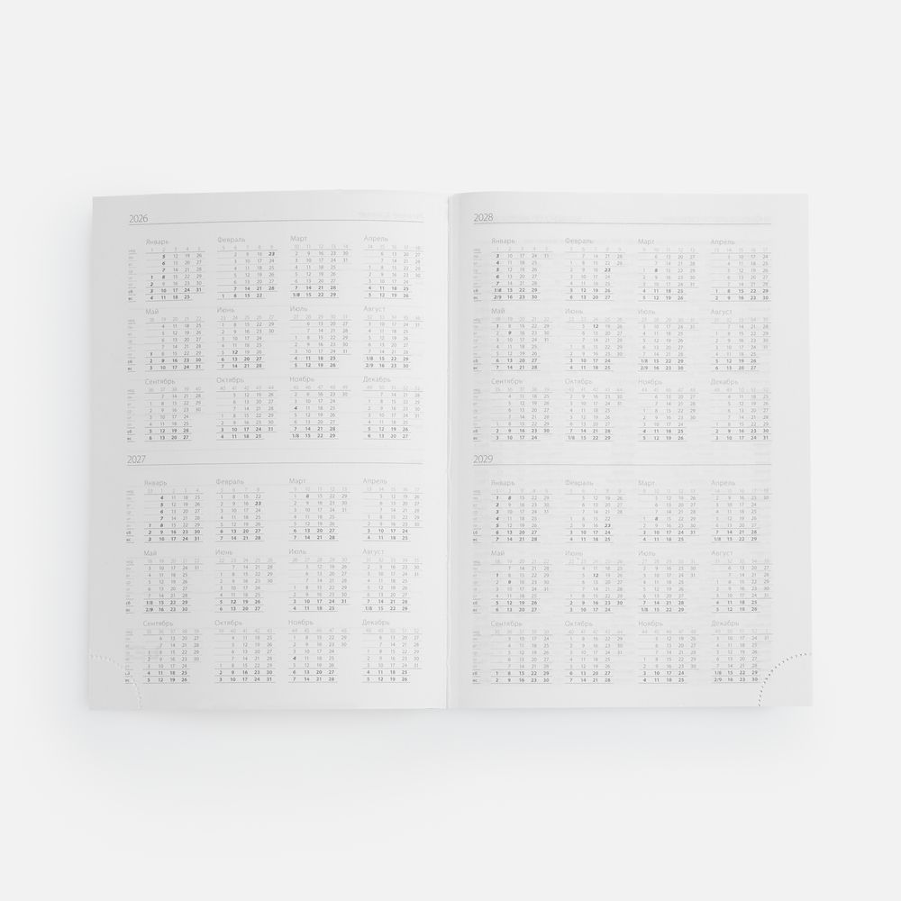 Миниатюра WWW (1000)