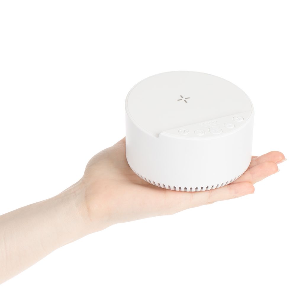 Миниатюра WWW (1000)