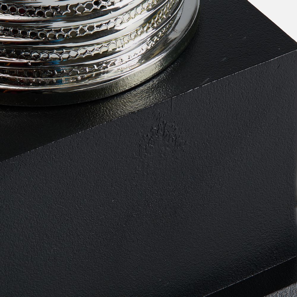 Миниатюра WWW (1000)