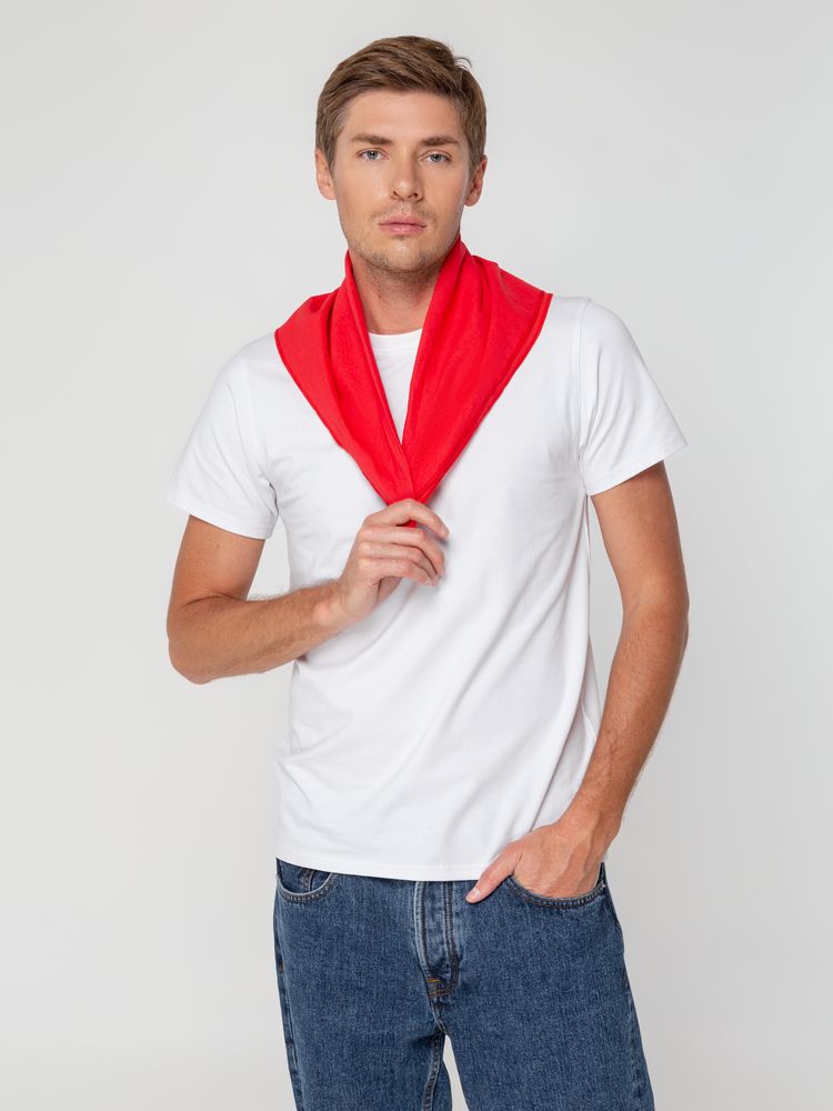 Миниатюра WWW (1000)