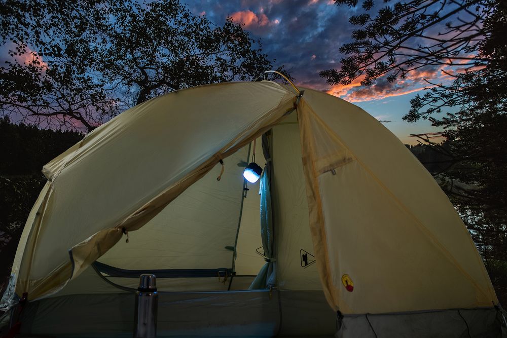 Миниатюра WWW (1000)