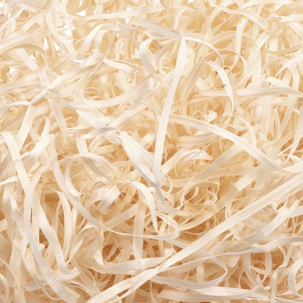 Миниатюра WWW (1000)