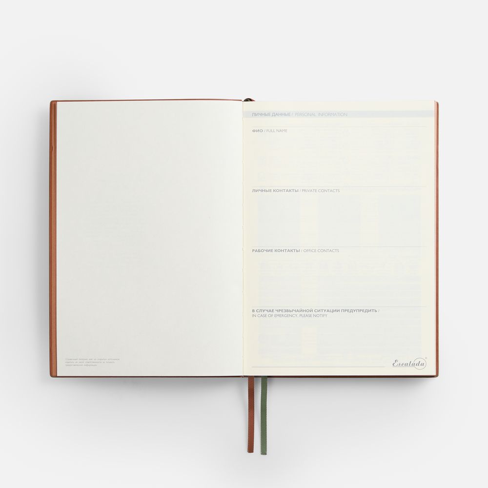 Миниатюра WWW (1000)