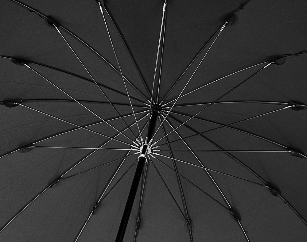 Миниатюра WWW (1000)