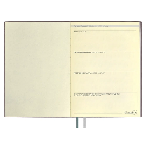 Ежедневник Avila, недатированный, серый