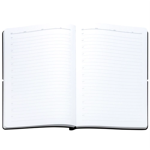 Ежедневник Flexpen Bright, недатированный, черный