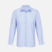 Рубашка мужская Bailey, голубая