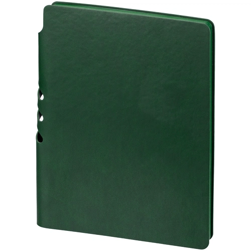 Ежедневник Flexpen Color, датированный, зеленый