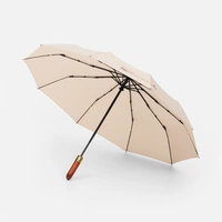 Зонт складной Cloudburst